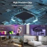 Thumbnail COB LED Strip Light with Bluetooth APP Control and Music Sync — LED Strip Lights, MIWISE