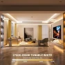 Thumbnail COB LED Strip Lights, CCT Smart IC — LED Strip Lights, PAUTIX