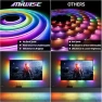 Thumbnail RGB Smart IC COB LED Strip Lights Chasing Color — LED Strip Lights, MIWISE