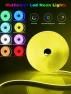 Thumbnail RGB LED Neon Rope Lights with Remote App Control — LED Strip Lights, Ledagic