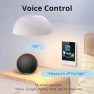 Thumbnail Smart Switch, 2-Switch Panel Home Control with Touchscreen and Temperature Function — Smart Switch, Sonoff