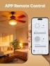 Thumbnail Star Ring Smart Ceiling Fan Control and Dimmer Light Switch — Smart Switch, MOES