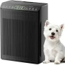 Thumbnail Air Purifier for Large Room — Air Purifier, Evalit