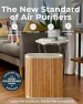 Thumbnail Air Purifier Max — Air Purifier, Windmill