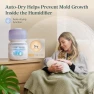 Thumbnail Evaporative Humidifier — Humidifier, LEVOIT