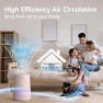 Thumbnail H13 HEPA Air Purifier — Air Purifier, VENDFO
