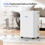 Thumbnail 30 Pints Smart Dehumidifier with WiFi App — Dehumidifier, WHOY
