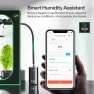 Thumbnail AeroStream H05 Intelligent Wi-Fi Humidifier and AeroWave E6 Gen2 — Humidifier, VIVOSUN