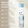 Thumbnail Air Purifier and Humidifier Combo for Large Rooms — Humidifier, AIREAL
