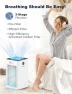 Thumbnail Air Purifier for Home Large Room up to 1500 sq ft — Air Purifier, Priestley