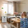 Thumbnail Air Purifier for Home Large Room Up to 3400 ft² — Air Purifier, DAYETTE