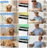 Thumbnail Air Purifier with Pet Hair Capture, H13 HEPA Filter, Smart Auto Mode — Air Purifier, TER