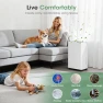 Thumbnail Dehumidifier for Basement, Smart APP WiFi Control, 35 Pint — Dehumidifier, Manastin