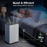 Thumbnail Dehumidifier for Basement, Smart APP WiFi Control, 35 Pint — Dehumidifier, Manastin