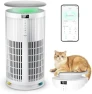 Thumbnail Large Air Purifier for Home Large Room — Air Purifier, Yaber