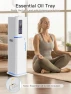 Thumbnail Top Fill Quiet Ultrasonic Cool Mist Humidifier — Humidifier, Zeova