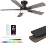 Thumbnail 52” Smart Flush Mount Ceiling Fan with Lights and Remote — Smart Fan, Lorpies
