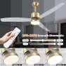 Thumbnail Smart Ceiling Fan with Light — Smart Fan, OKELI