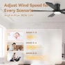 Thumbnail Smart Flush Mount Ceiling Fan with Lights and Remote — Smart Fan, GentleBreeze Store