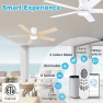 Thumbnail Smart Low Profile Ceiling Fan with Light — Smart Fan, Lorpies