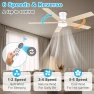 Thumbnail Smart Low Profile Ceiling Fan with Light — Smart Fan, Lorpies
