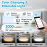Thumbnail Smart Low Profile Ceiling Fan with Light — Smart Fan, Lorpies