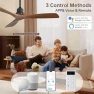 Thumbnail Smart Ceiling Fan no Lights — Smart Fan, Sofucor