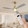 Thumbnail Smart Ceiling Fan no Lights — Smart Fan, Sofucor