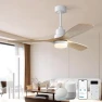Thumbnail Smart Ceiling Fan no Lights — Smart Fan, Sofucor