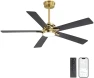 Thumbnail Smart Ceiling Fan with Lights and 3 Downrods — Smart Fan, WINGBO