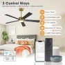 Thumbnail Smart Ceiling Fan with Lights and 3 Downrods — Smart Fan, WINGBO