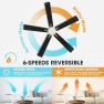 Thumbnail Smart Ceiling Fan with Lights and 3 Downrods — Smart Fan, WINGBO