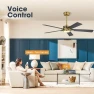 Thumbnail Smart Ceiling Fan with Lights and 3 Downrods — Smart Fan, WINGBO