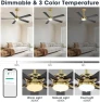 Thumbnail Smart Ceiling Fan with Lights and 3 Downrods — Smart Fan, WINGBO