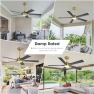 Thumbnail Smart Ceiling Fan with Lights and 3 Downrods — Smart Fan, WINGBO