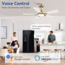 Thumbnail Smart Ceiling Fan with Lights — Smart Fan, Hoenofly