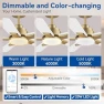 Thumbnail Smart Ceiling Fan with Lights — Smart Fan, Hoenofly