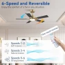 Thumbnail Smart Ceiling Fan with Lights — Smart Fan, Hoenofly