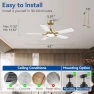 Thumbnail Smart Ceiling Fan with Lights — Smart Fan, Hoenofly