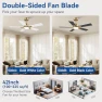 Thumbnail Smart Ceiling Fan with Lights — Smart Fan, Hoenofly