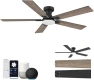 Thumbnail Smart Ceiling Fan with Lights — Smart Fan, Hoenofly