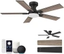 Thumbnail Smart Ceiling Fan with Lights — Smart Fan, Hoenofly