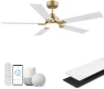 Thumbnail Smart Ceiling Fan with Lights — Smart Fan, Hoenofly