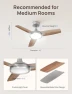 Thumbnail Smart Ceiling Fan with Lights — Smart Fan, Dreo