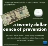 Thumbnail Smart Water Leak Protection System — Water Shut Off Valve, YoLink