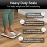 Thumbnail Smart Body Weight Scale (550lbs Capacity) — Smart Scale, Vive Precision