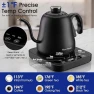 Thumbnail Gooseneck Electric Kettle with ±1°F Temperature Control — Electric Kettle, Visit the REXYHOME Store