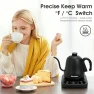 Thumbnail Gooseneck Electric Kettle with ±1°F Temperature Control — Electric Kettle, Visit the REXYHOME Store