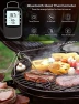Thumbnail Bluetooth Meat Thermometer Bundle with Smart Electric Kettle — Electric Kettle, Govee