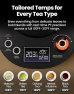 Thumbnail Electric Gooseneck Kettle with Precise Temperature Control — Electric Kettle, Vianté